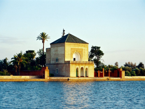 7ème congrès national de l’association marocaine des orthopédistes du secteur public